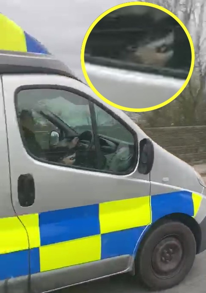 The driver appears to be looking at a phone in her right hand