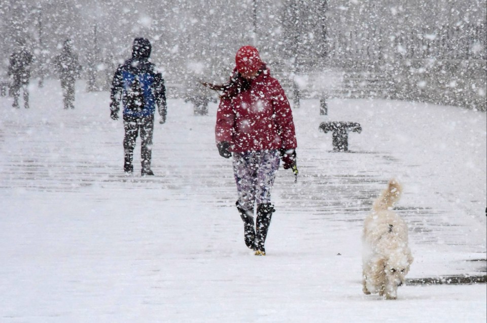 In Newcastle, walkers faced blizzard-like conditions this morning