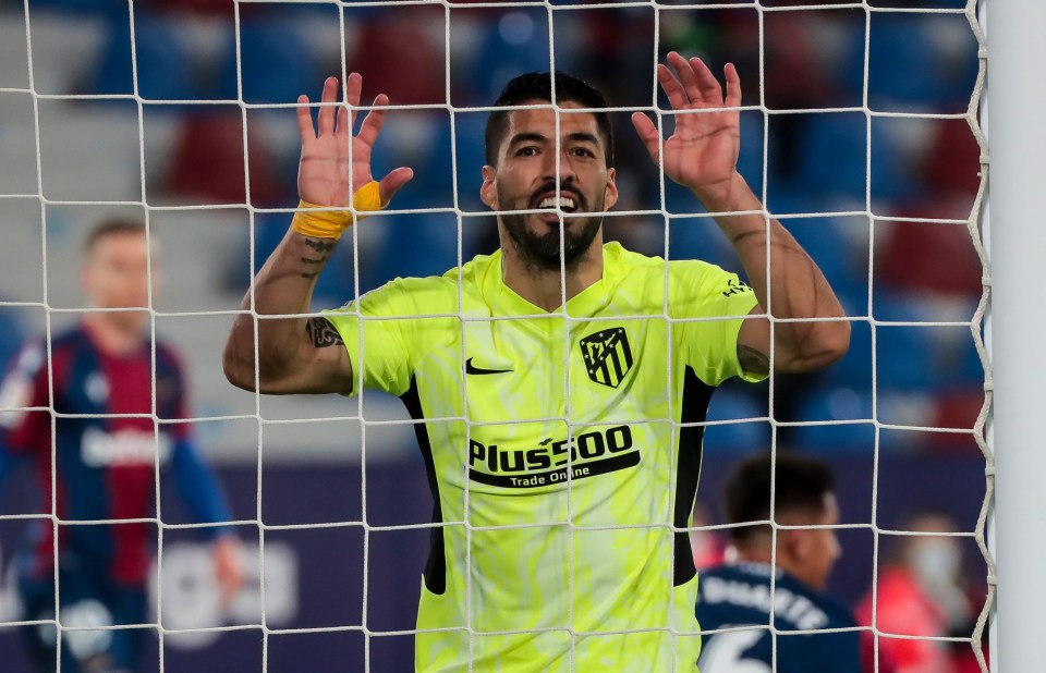 Luis Suarez says he is not going anywhere