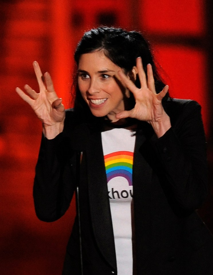 Sarah Silverman has been in the spotlight since 1993