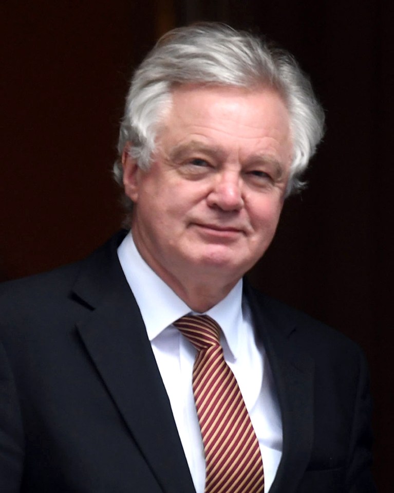 MP David Davis shared the study, saying it was 'very important'