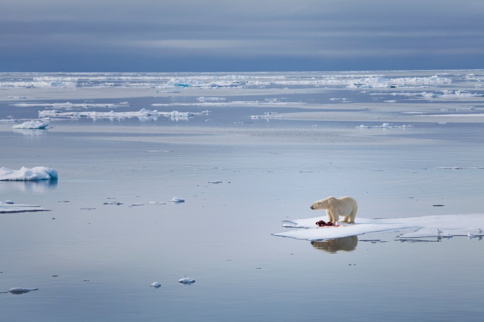 Climate-warming gases like methane and carbon dioxide are released from permafrost as it melts, further speeding up climate change