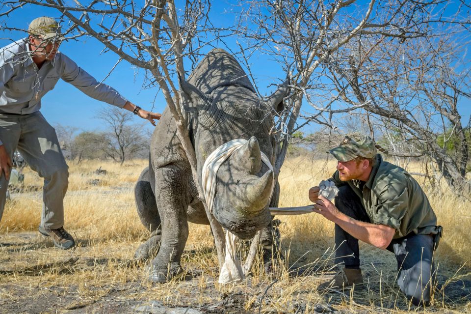 Harry will be staying as President of wildlife charities African Parks and Rhino Conservation Botswana