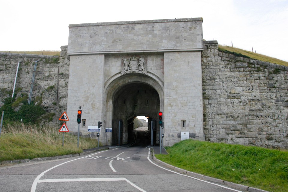 He was among a host of ageing sex offenders vaccinated at HMP The Verne