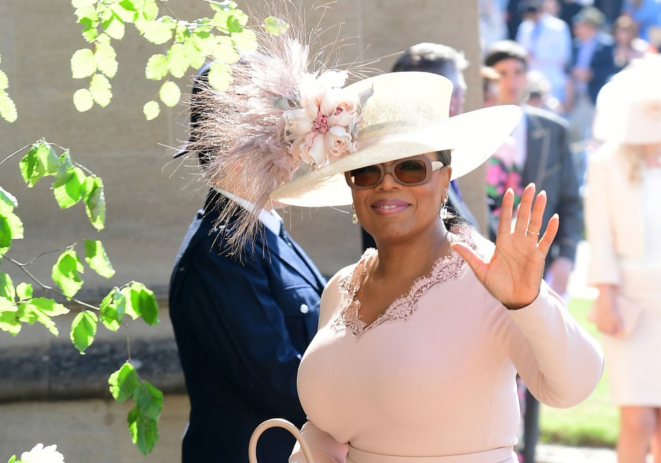 Oprah Winfrey's chat has sparked a bidding war, it was reported