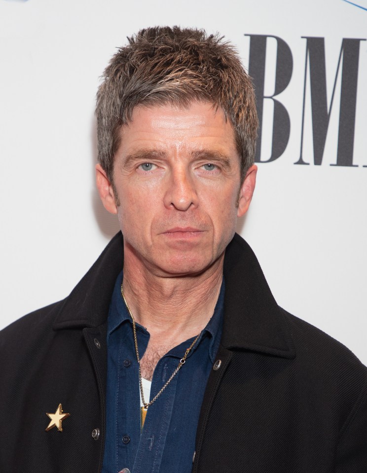 Noel Gallagher admitted he's not keen on his family's pet cat