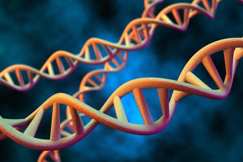 3D rendering of DNA molecule of human