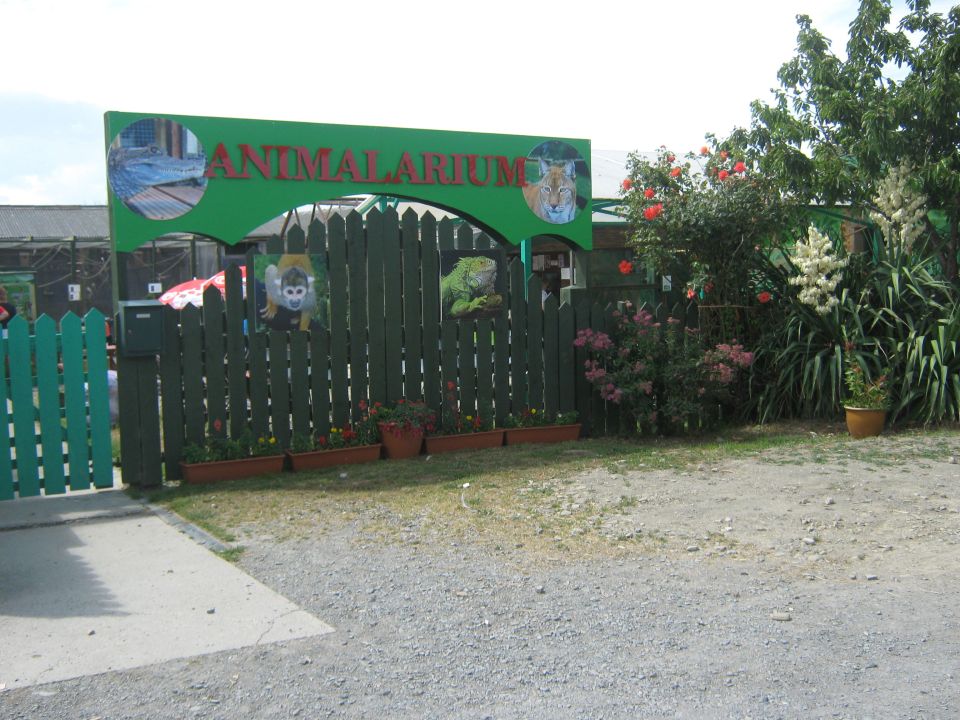 Borth Wild Animal Kingdom has been dubbed 'Britain's worst zoo' after a series of blunders