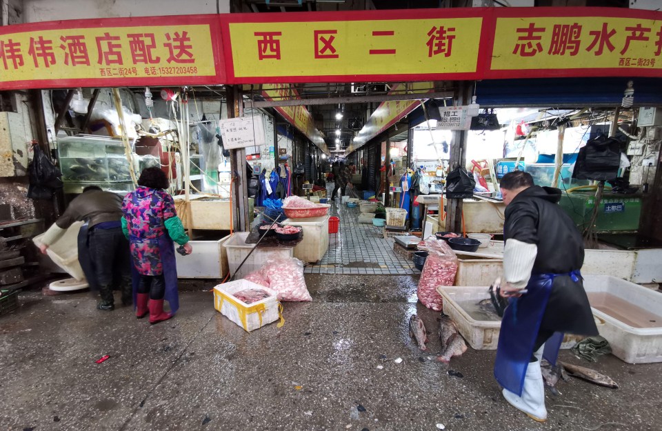 Wuhan’s Huanan seafood market’s “terrible” conditions likely accelerated the spread of the virus