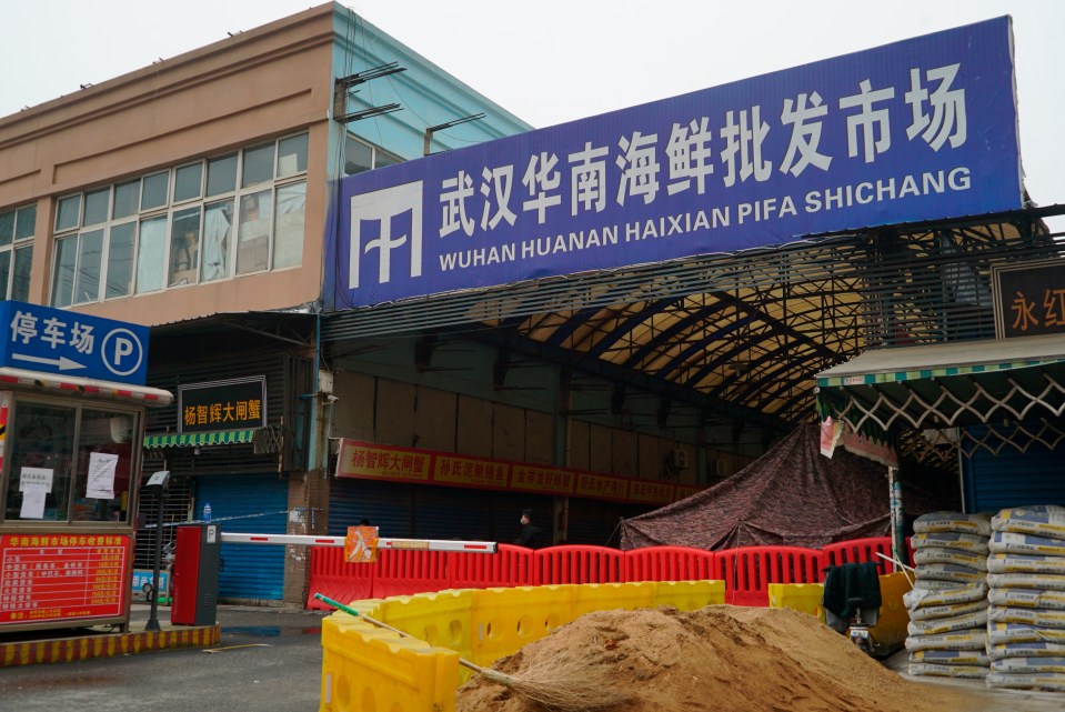 The Huanan Seafood Market in Wuhan was an “amplifying event” for the virus, says Prof Dwyer