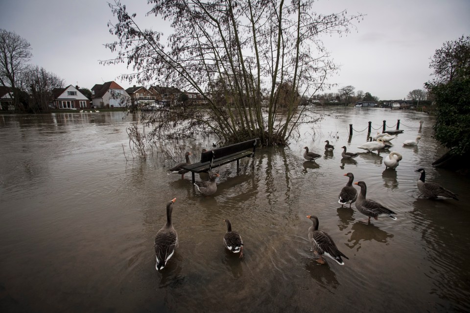 More rain and snow is on the way with weather warnings in place until Monday