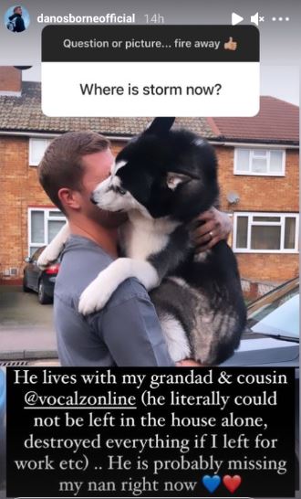 Dan Osborne revealed dog Storm is living with his grandparents 