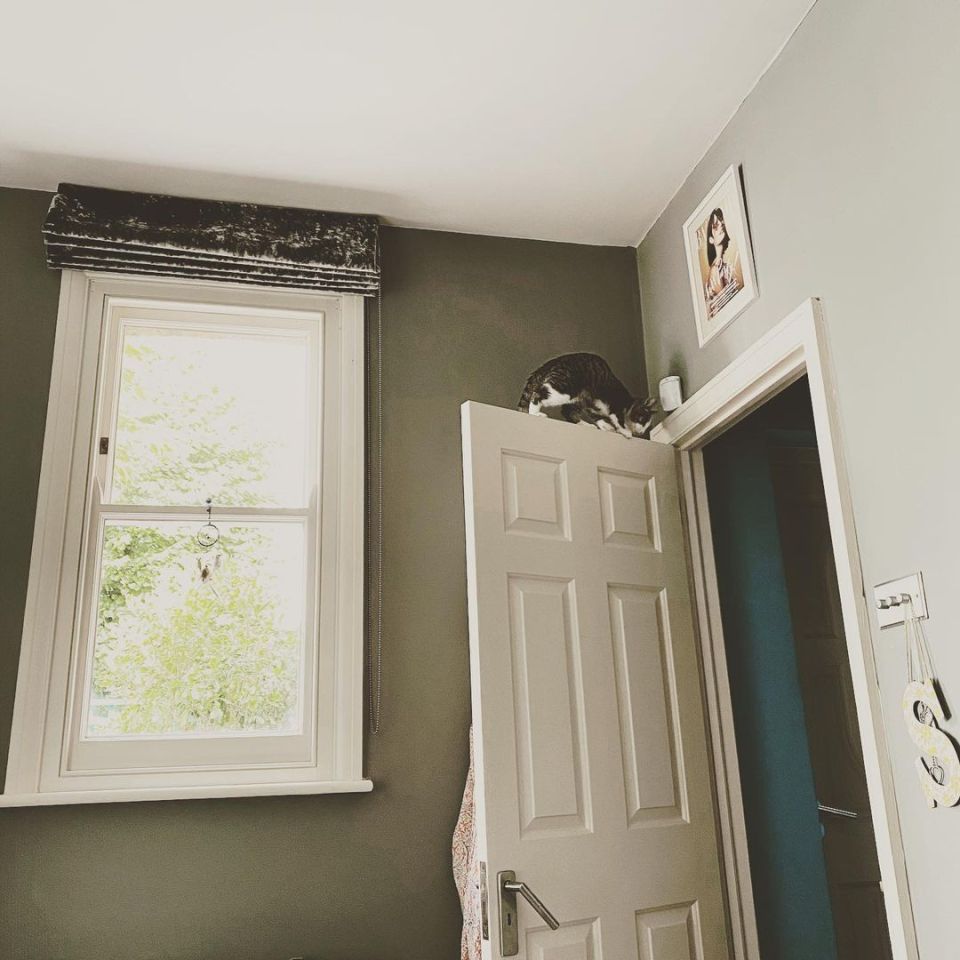 Matt's adorable cat finds some questionable hiding places