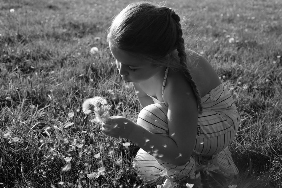 Harper blowing a dandelion