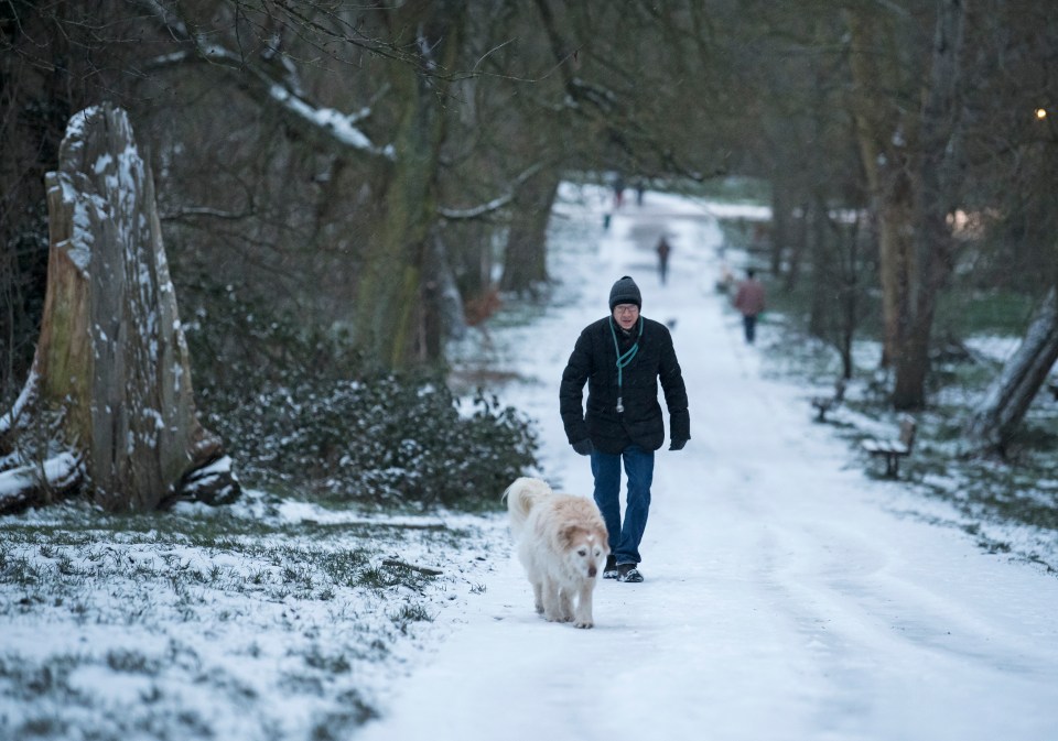 A man walks his dog at Hampstead Heath in north London