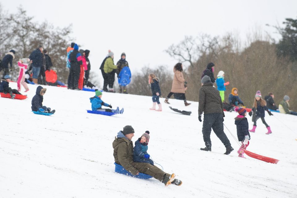 People enjoy the snow in Christchurch Park, Ipswich