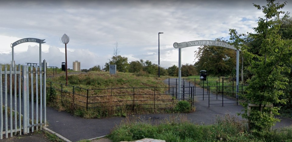 Police are investigating after a 12-year-old girl was grabbed by a man in his 30s on the Northern Slopes nature reserve in Bristol