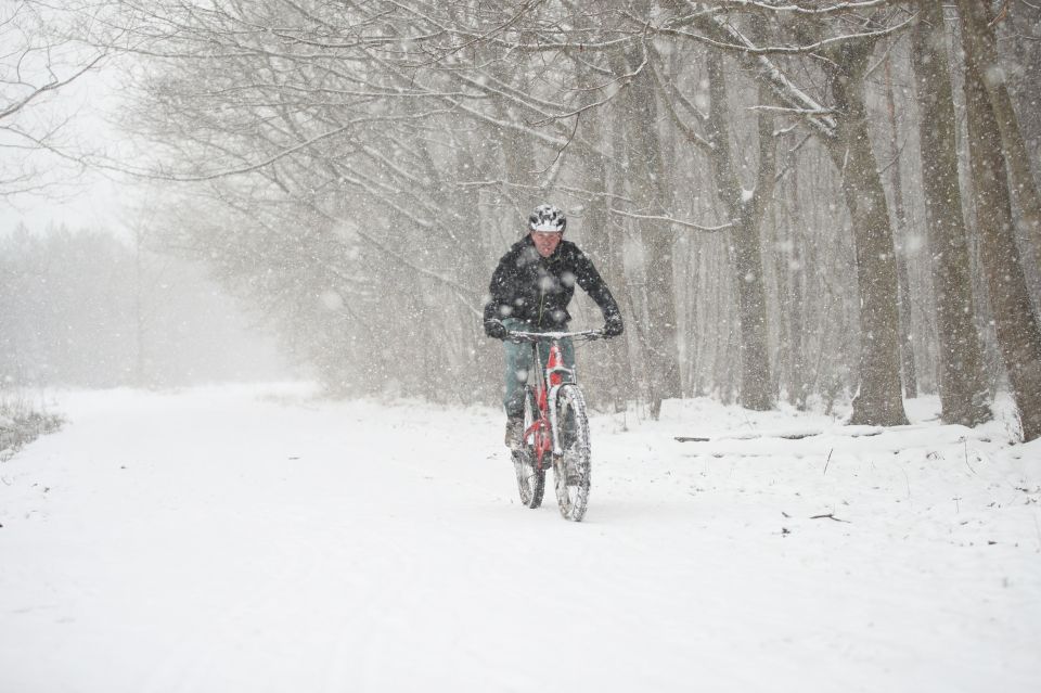 A cyclist rides through snow fall in Clowes Wood, Kent this afternoon