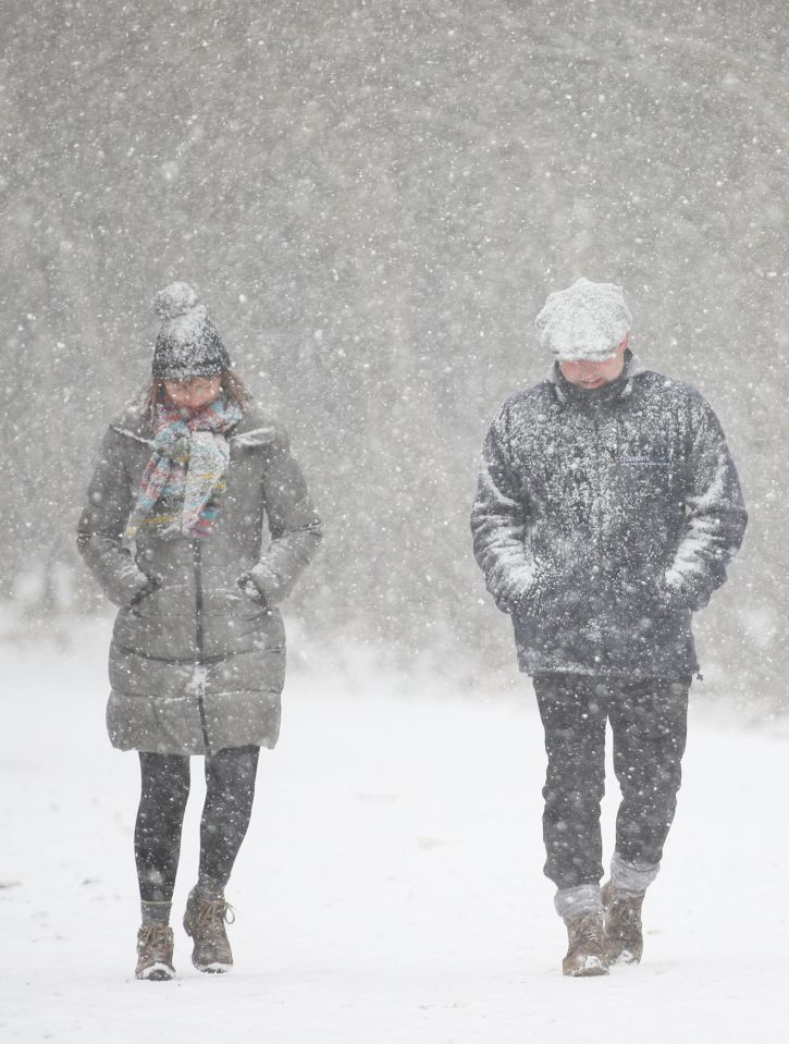 People walking through snow fall in Clowes Wood, Kent