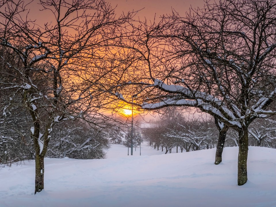 The sunset this evening over Balbardie Park in Bathgate, Glasgow is pictured after heavy snowfall