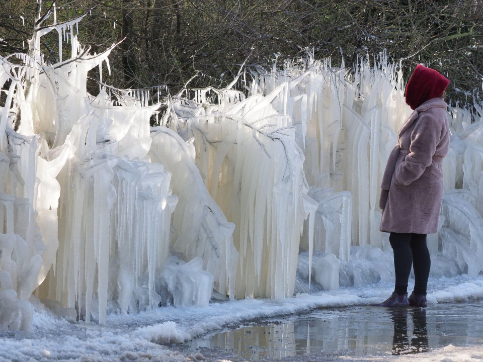 Magical icicle display on this icicle hedge in Eastchurch, Kent which has been created by cars splashing waters onto the hedge