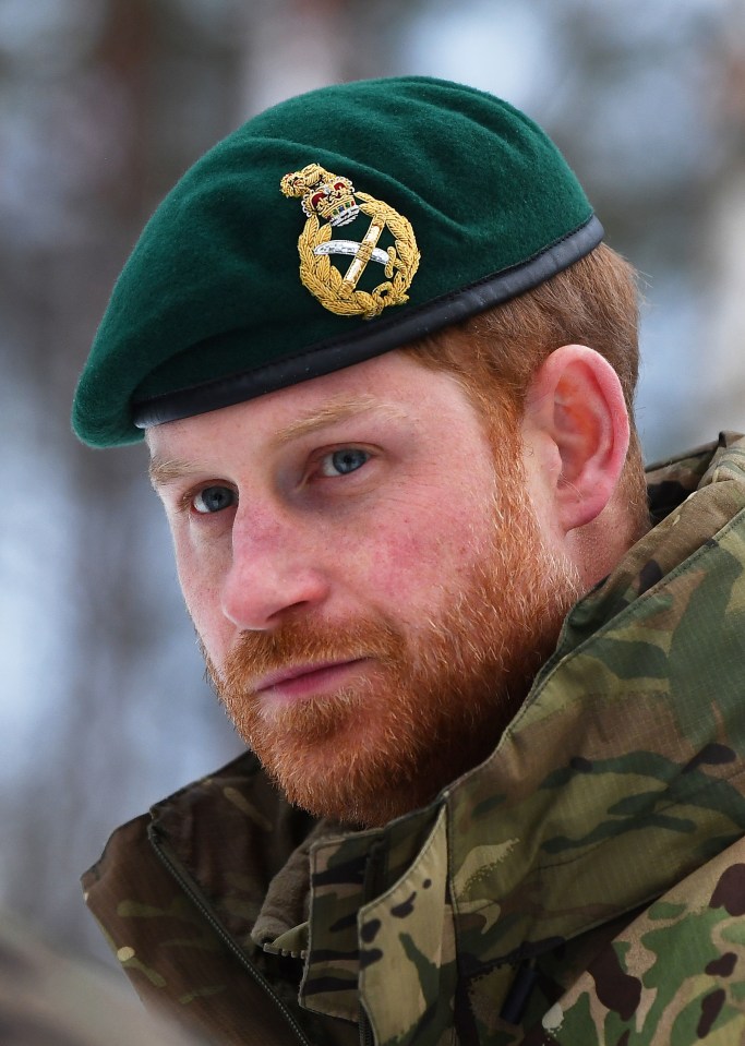 Prince Harry has had to give up many royal patronages and military honours