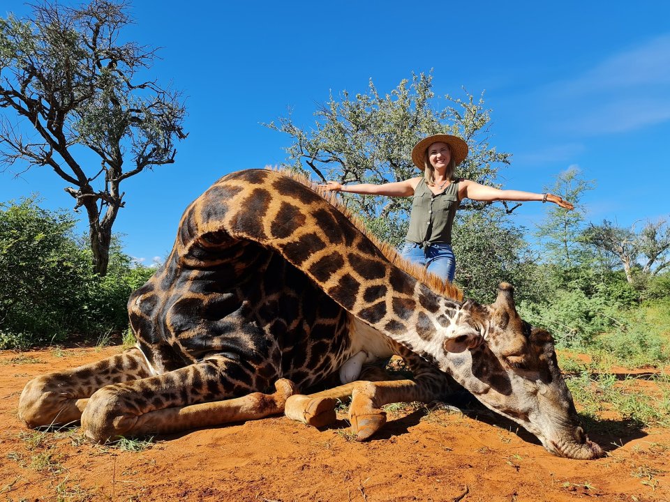 A trophy hunter infuriated animal rights campaigners for posing with the giraffe she shot