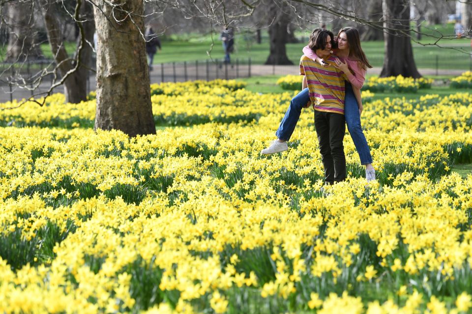 A couple play in the daffodils in St James's Park, London