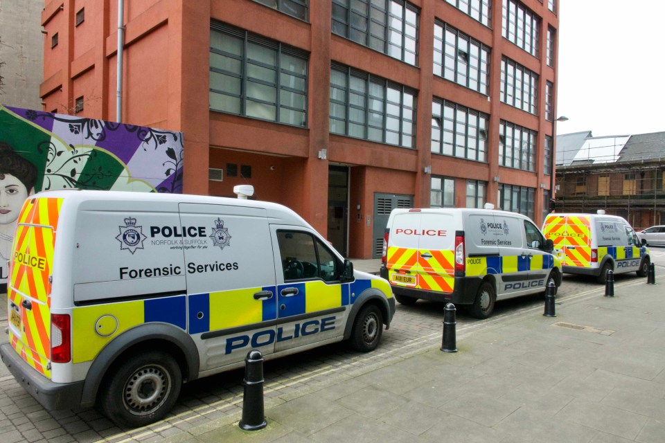 A womanin her 60s was been found dead in a flat a block called Cardinal Lofts in a former industrial building in Foundry Lane, Ipswich, Suffolk