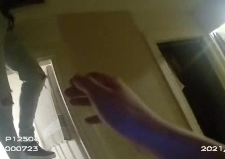 A man was caught on police bodycam footage dangling from the floor as North Yorkshire cops broke up another party