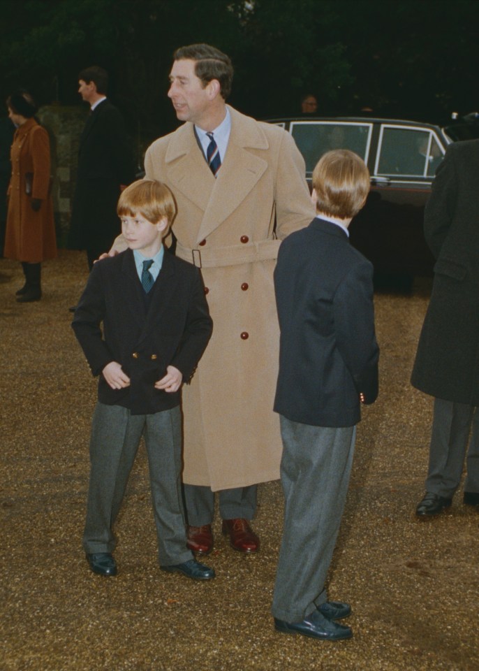 Charles felt Diana was making life difficult for William and Harry (pictured at Sandringham later in the year)