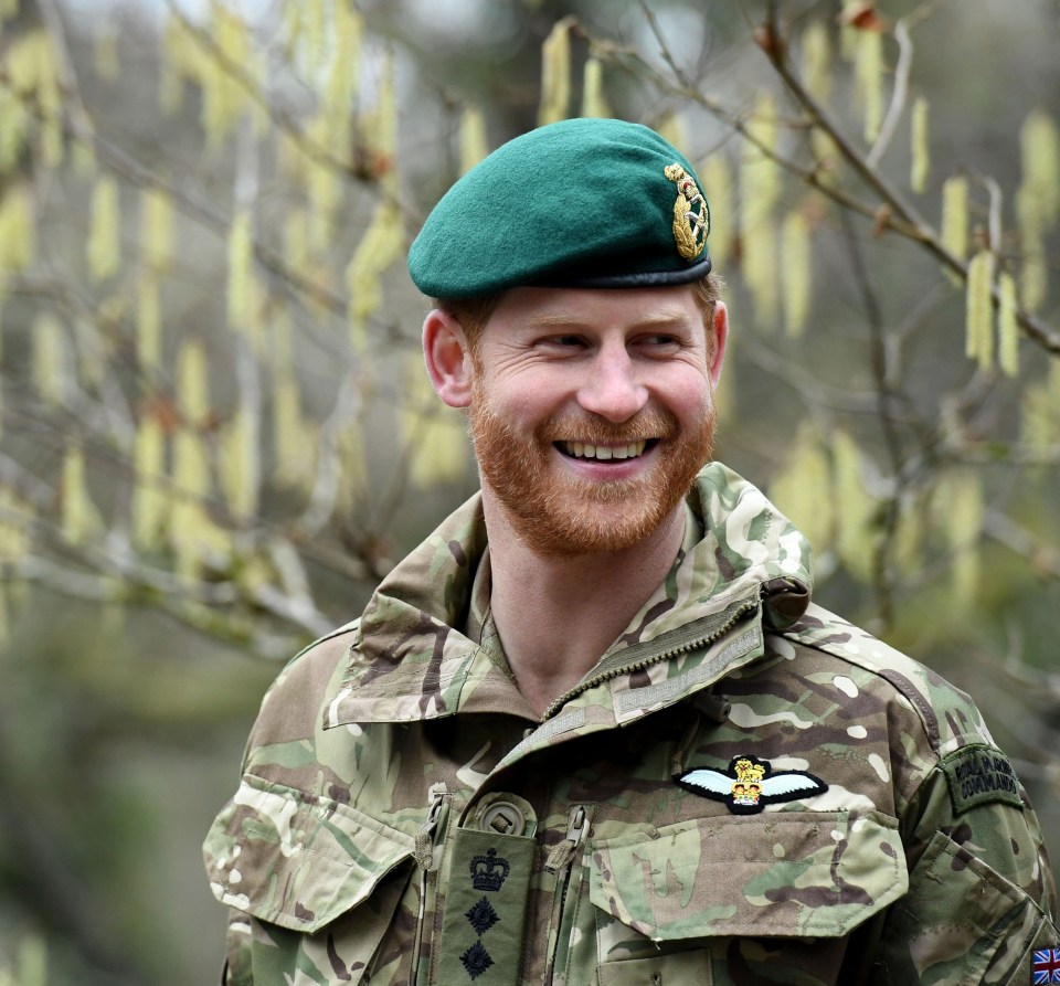 Former Army officer Harry must have been particularly devastated to lose his role as Captain General of the Royal Marines