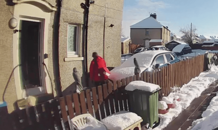 The moment the postie leaves the dazed and injured senior in the snow