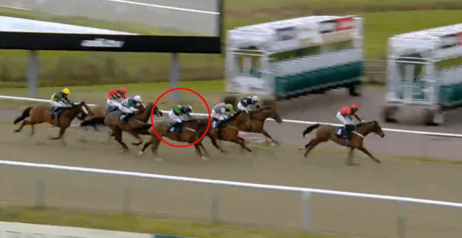 Eau Top suffered a fatal fall in a terrifying end to this Lingfield race