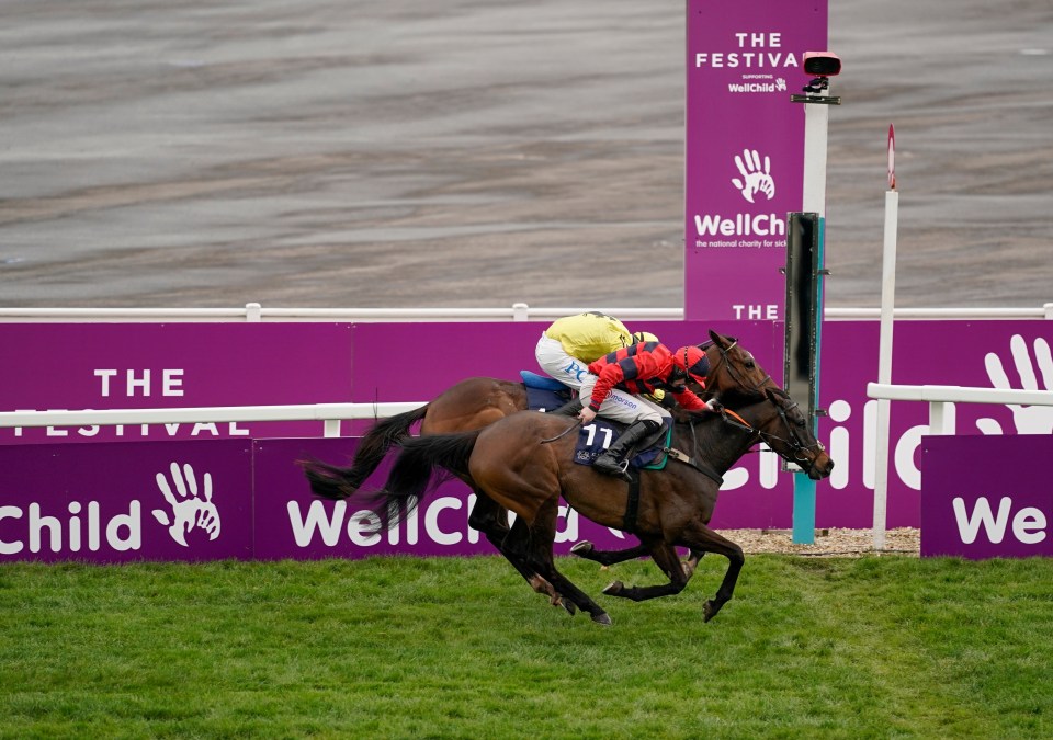 Porlock Bay edged to victory by the narrowest of margins