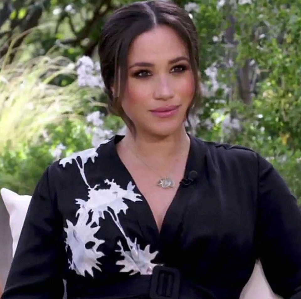 Meghan Markle said The Firm is 'perpetuating falsehoods' about her and Prince Harry