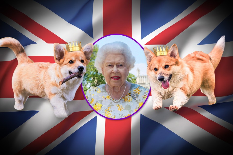 We imagined the Queen and her new corgi puppies