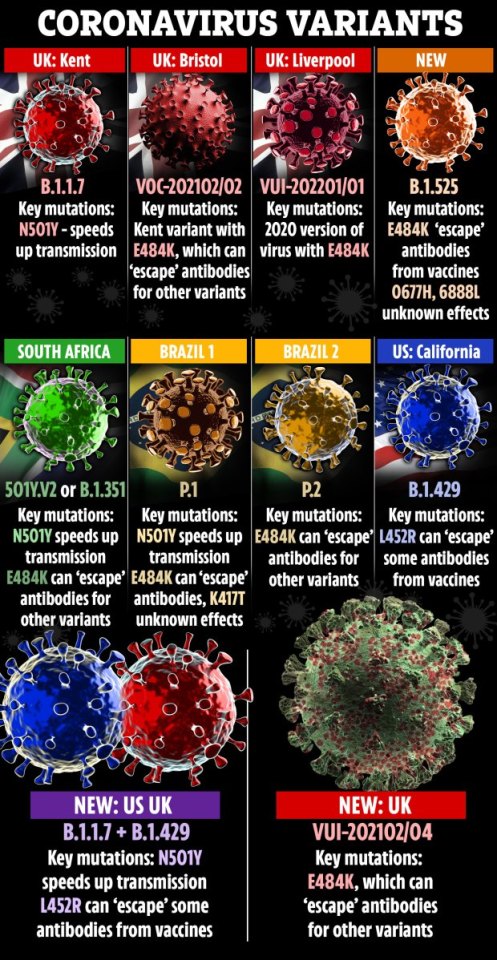 Types of new Covid variants and their mutations