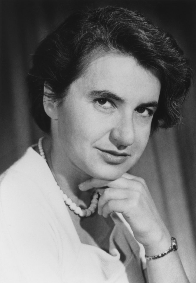 Rosalind Franklin helped to discover the double helix structure of DNA