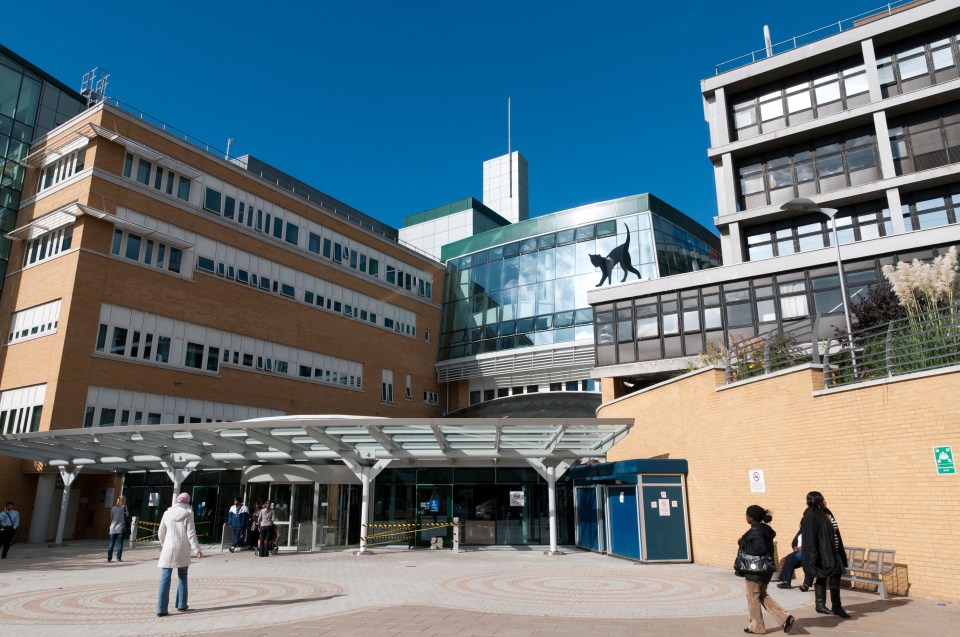 The Whittington Hospital, north London, where cameras crews were invited in and where frontline workers filmed diary footage during the first half of the pandemic