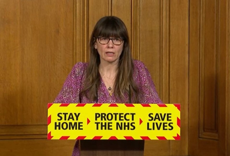 Epidemiologist Consultant Susan Hopkins during a media briefing in Downing Street