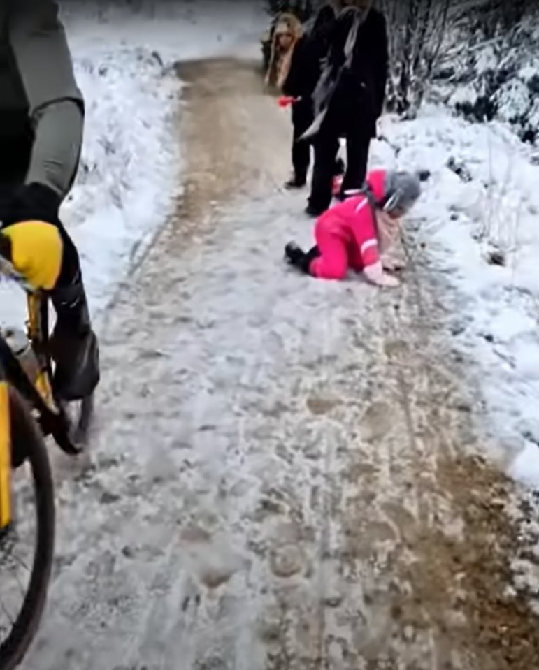 The girl who was out walking with her mum and dad was knocked to the ground