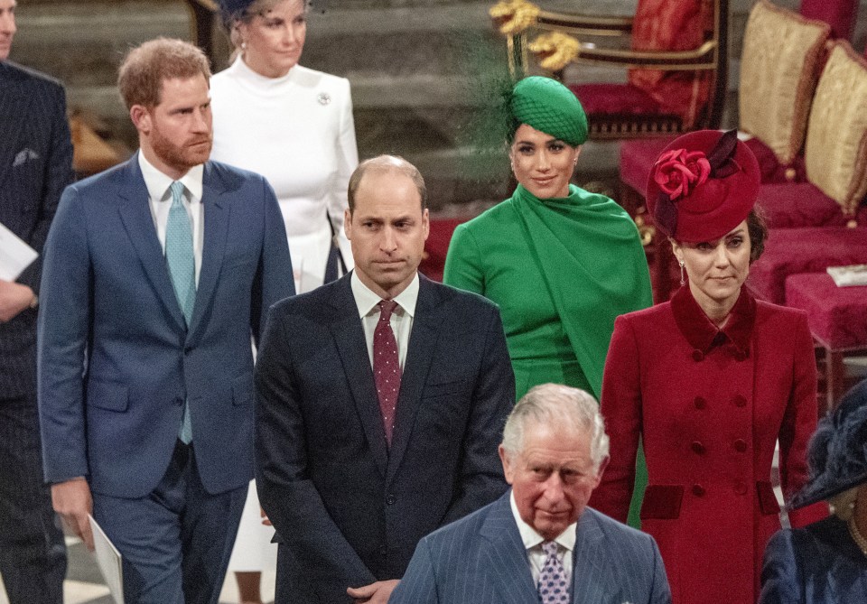 Harry said William and Prince Charles are ‘trapped’ in the Royal Family