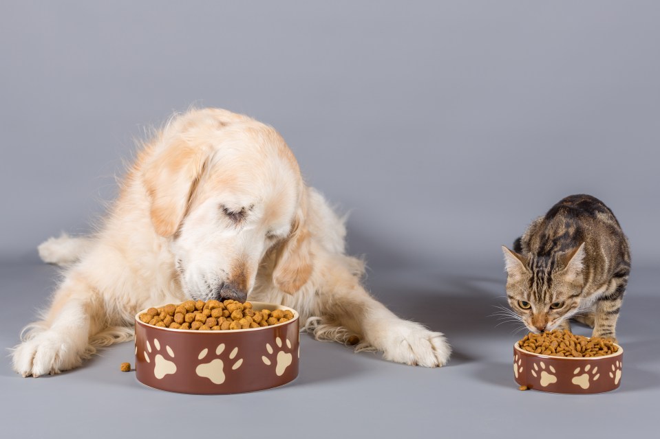 Pet owners may struggle to get hold of food pouches at Sainsbury's