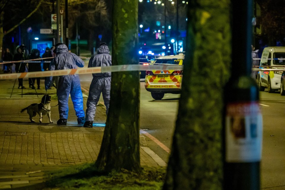 Sniffer dogs searching the area where Sarah was last seen