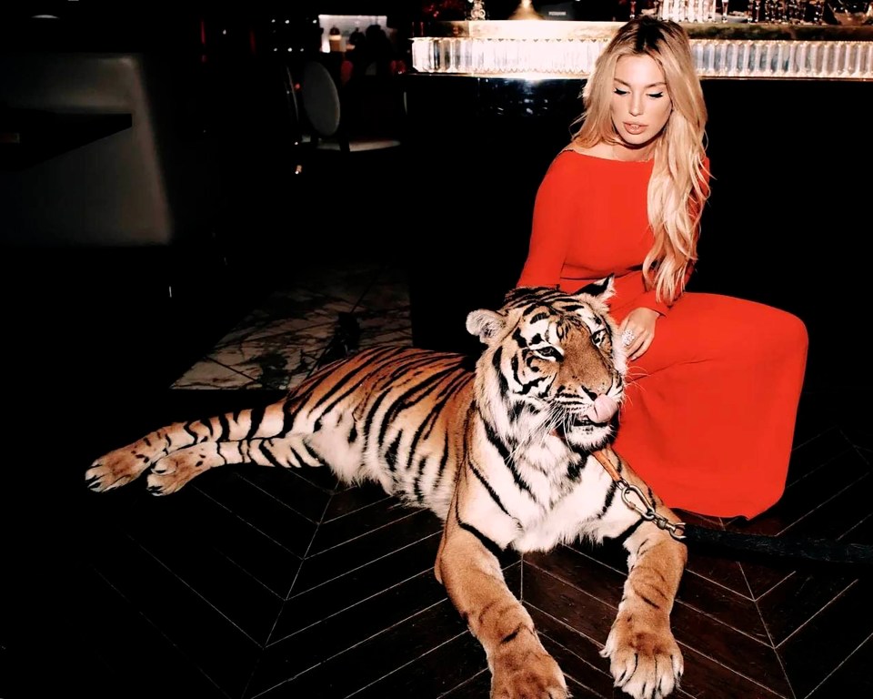 Ilona Kotelyukh poses with the tiger at her party in Moscow