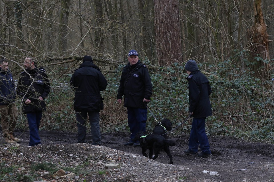 Search dogs were brought to the scene in Ashford