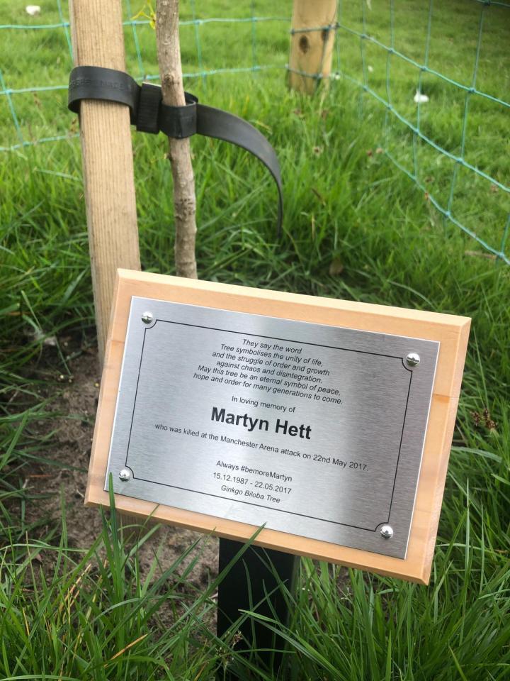 Figen says it's a comfort to see the tree, which can live for 1,000 years