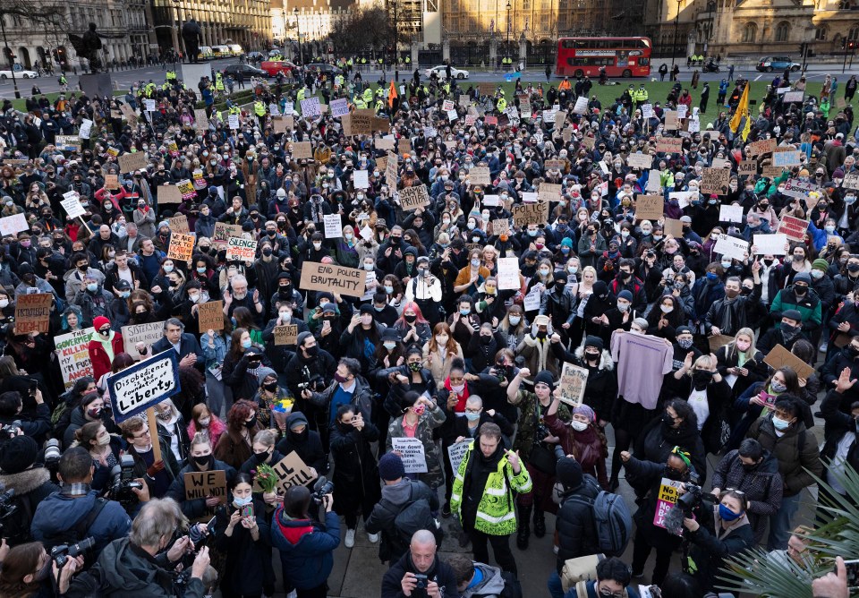 Hundreds of protesters gathered in front of Parliament