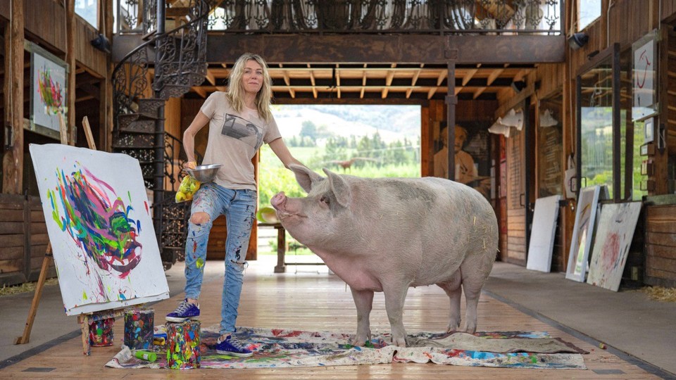 Pigcasso's owner Joanne Lefson says she is smart, curious and intelligent.